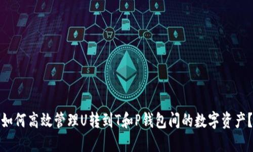 如何高效管理U转到T和P钱包间的数字资产？